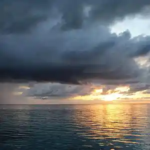 Picture for song '03 After the rain (Deep House remix)' by artist 'Deep Transit'