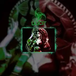 Picture for song 'Salma Latin Type Beat' by artist 'ILLICIT MUSIC'