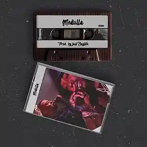 Picture for song 'Medulla' by artist 'just Clayton'