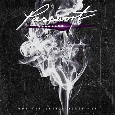 Picture for song 'Alles geht in Rauch auf' by artist 'PASSWORT 13-8'