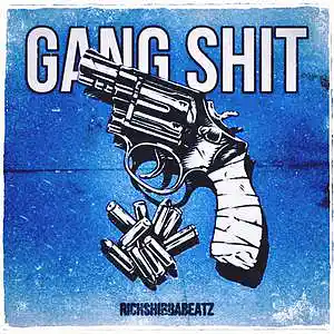 Picture for song 'GANG SHIT ( SOLD )' by artist 'richshibbabeatz'