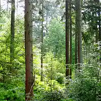 Picture for song 'comtineurtaution' by artist 'Roger mc'