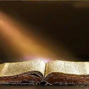 Picture for song 'ONE IN THE SON' by artist 'Rosa A. Banks'