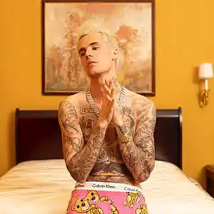 Picture for song 'VIBES *Justin Bieber x Kehlani*' by artist 'XXXMAKEITBOUNCE'
