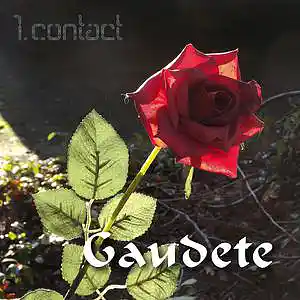 Picture for song 'Gaudete' by artist '1st Contact'