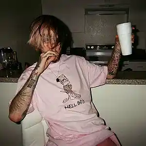 Picture for song 'don't forget me (lil peep type beat)' by artist 'boytoytrashh'