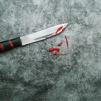 Picture for song 'BUTCHER' by artist 'HRUST'