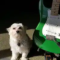 Picture for song 'It Only Goes To Show' by artist 'J Prock'