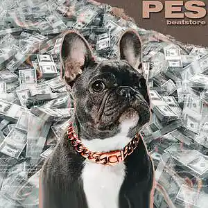 Picture for song 'CUBINA' by artist 'PESbeatstore'