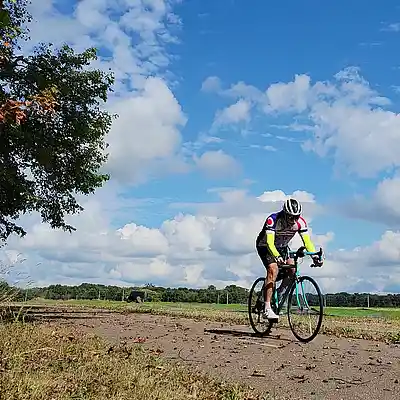 Picture for song 'PrimalWheels' by artist 'Tom Bower'