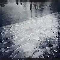 Picture for song 'THE SEA OF GLASS Feat: FAUNASERENE & T REYES' by artist 'TReyes'