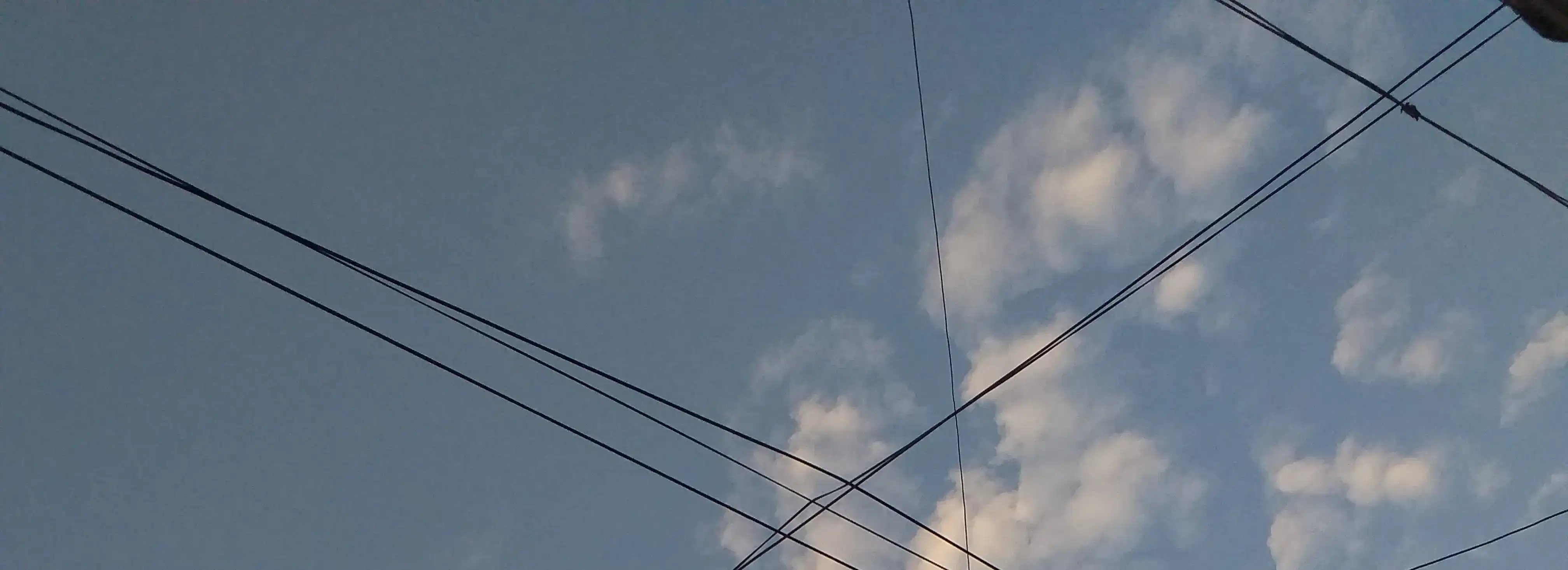 cover pic