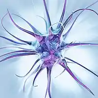 Picture for song 'This Picture' by artist 'Alana Joy Bailey'