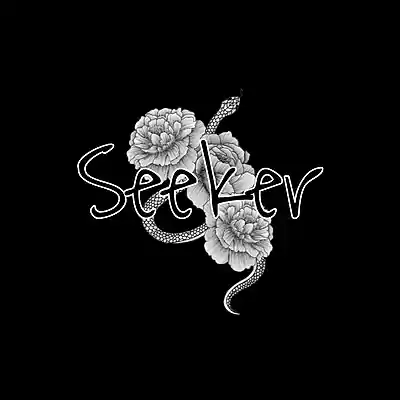 Picture for song 'Seeker' by artist 'A's Instrumental Vault'