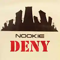 Picture for song 'Nookie Deny (XL Mix)' by artist 'XL73'