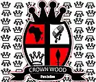 Picture for song 'Can't Reach 'Em' by artist 'Crown Wood'