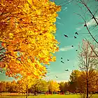 Picture for song 'Carry On to the Next Life' by artist 'Dan Cumpian'