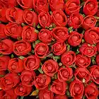 Picture for song '1,000 Roses.mp3' by artist 'Ded Poettz soPSYeti - ASYLUM - Koga Monks - Hashish Isham'