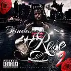 Picture for song 'Bandanarose 2.mp4' by artist 'GFOOL BEATZ'