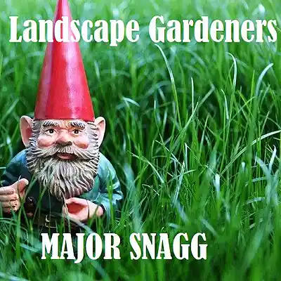Picture for song 'Landscape Gardeners (& Nurserymen)' by artist 'Major Snagg'
