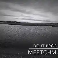 Picture for song 'Do It' by artist 'MeetchMusic'