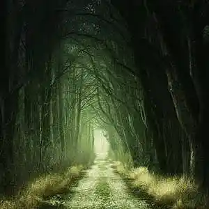 Picture for song 'Cold As Ice' by artist 'Sempala Music'