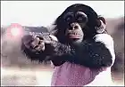 Picture for song 'Pepere is not cool ! the bi*** !!!' by artist 'APACHON'