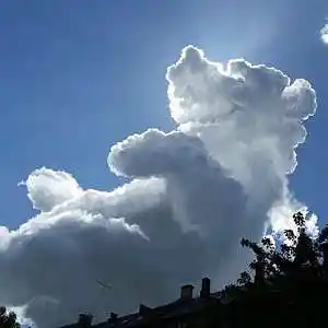 Picture for song 'Clouds' by artist 'Big Albert'