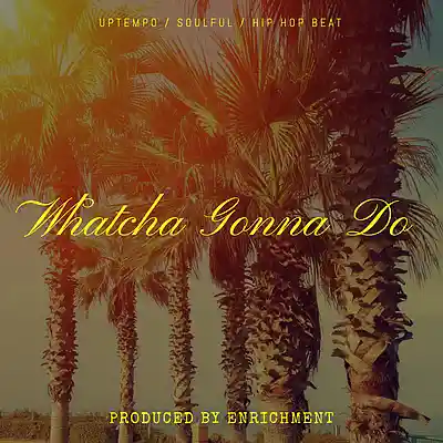 Picture for song 'Whatcha Gonna Do (Uptempo/Soulful/Hip-Hop Beat)' by artist 'Enrichment'