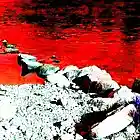 Picture for song 'Of Blood & Hope' by artist 'Paraxy'z'