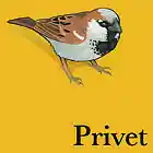 Picture for song '01 Rotary.mp3' by artist 'Privet'