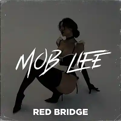Picture for song 'Mob Life - Detroit Type Beat' by artist 'Red Bridge Pro'