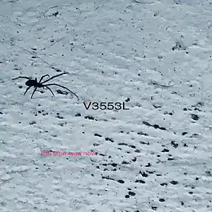 Picture for song 'mypitchforkawaitsyourhead' by artist 'V 35 53 L'