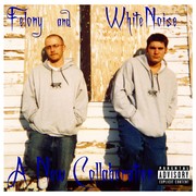 Picture for song '17 - Shake It' by artist 'Felony and WhiteNoise'