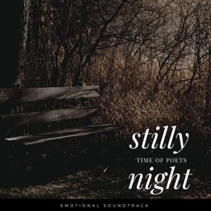 Picture for song 'STILLY NIGHT LONG MIX 3' by artist 'Peligot'