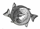 Picture for song 'duality_in_oneness' by artist '1nna sense'