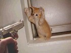 Picture for song 'Put Em Up' by artist '24Karat (The Original)'