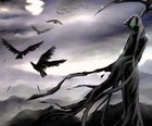 Picture for song 'Black Crow (Andre 3000/Eligh) -Free Download-' by artist '831beats'