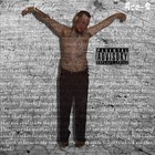 Picture for song '11-Anthem for the Year 2011' by artist 'Ace-G'