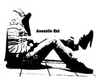Picture for song 'Hittin Licks' by artist 'Acoustic Entertainment'