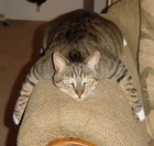 Picture for song 'So Long' by artist 'Adam And Matt'