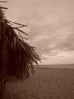 Picture for song 'Viento, Silencio' by artist 'Mousefly'
