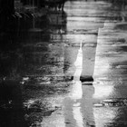 Picture for song 'The Absence of An Existence' by artist 'Alex McGinnis'