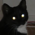 Picture for song 'Nebuloid' by artist 'Alextwokay'