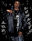 Picture for song 'LUNATIC-HARDTIMES CAUSE FOR HUSTLE' by artist 'Allied Opposition'