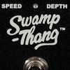 Picture for song 'Swamp Thang Riff' by artist 'Ambient Exposure'