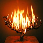 Picture for song 'Burning' by artist 'AmR (US)'