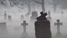 Picture for song 'Ett Evigt Hat Mot Livet' by artist 'Andreas Petersson'