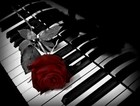 Song picture