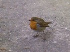 Picture for song 'Once In Royal David's City' by artist 'Artytou'